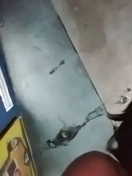 AlexAlejandro13