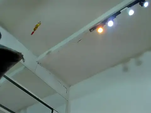 Tafari_Zulu1 live cam preview