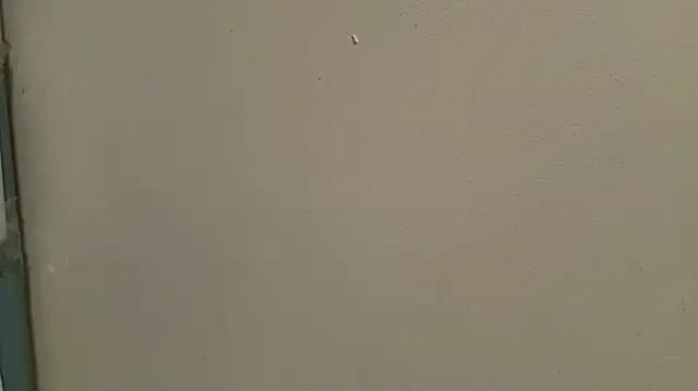 NgaMuszar webcam