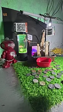 bholaarm webcam