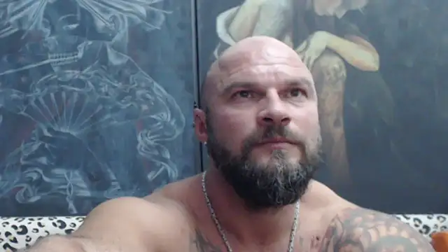 viking_30 webcam