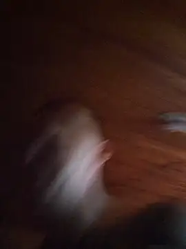 Mikedotow webcam