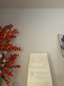 VictoriaHiill webcam