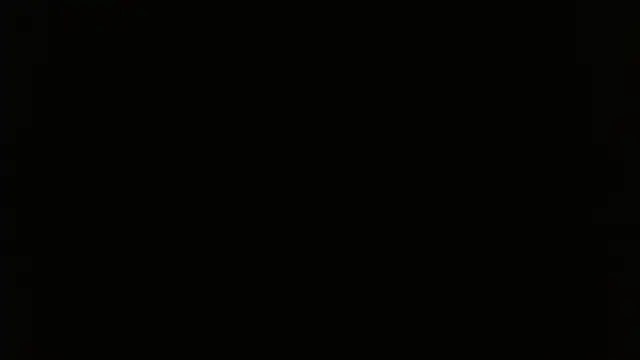 Pandora_9666 webcam