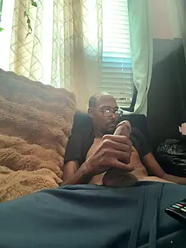 palmdaledyker webcam