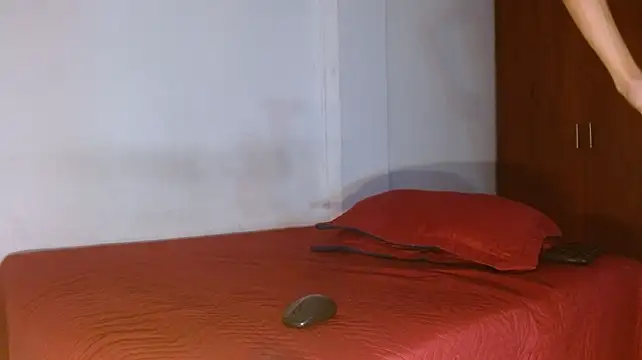 tiberius_blaunch webcam