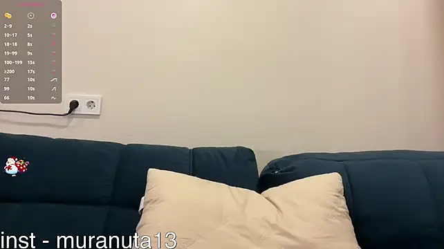 tinykisa webcam