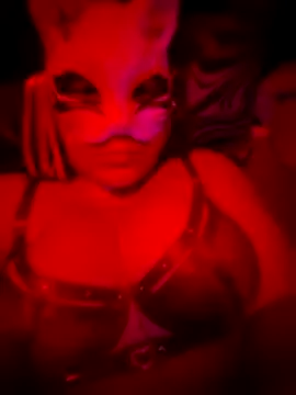 Ladynekoxxx live cam on StripChat