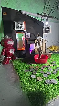 bholaarm webcam