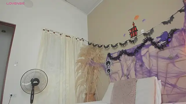 nova_silk webcam