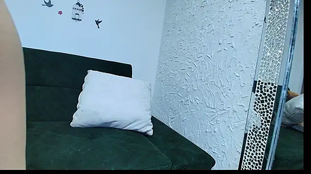 _Ana_Car webcam