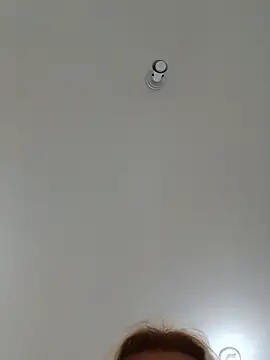 Laurinhasafad webcam