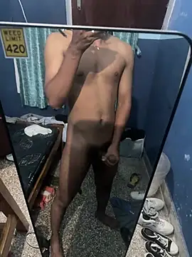 dashingdih webcam