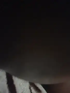 ShaneTheDictator66