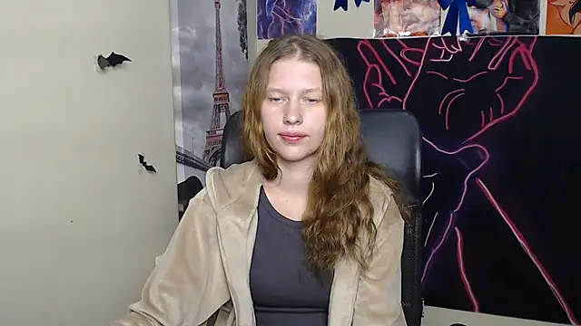 StellaCRL webcam