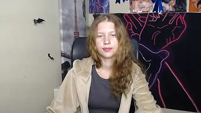 StellaCRL webcam