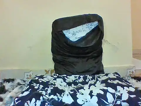 Mulamulapesa webcam