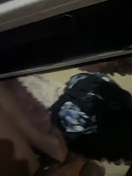 Husky_daddyy webcam