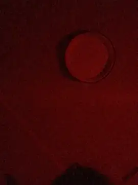 Vesperxx webcam