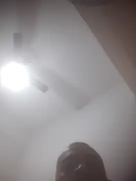 doidopradar live cam on StripChat