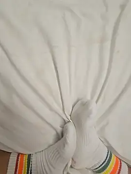 dogmimigg