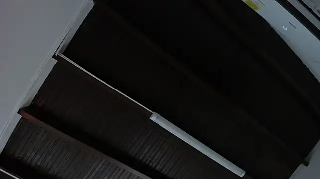 kayleeScott webcam
