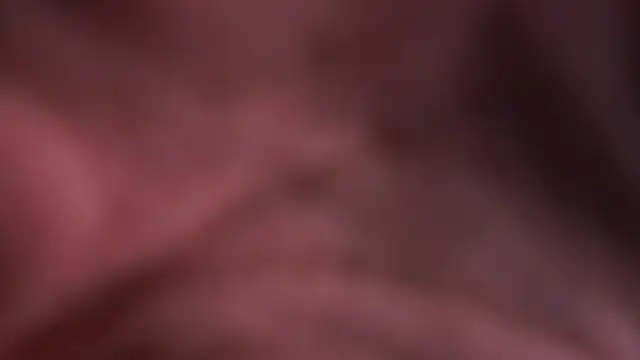 hexiir webcam