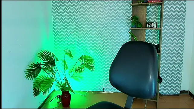 Liu_wen_ webcam