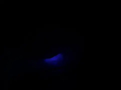 31cektirenbatuu webcam