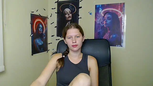 StellaCRL webcam