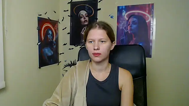 StellaCRL webcam