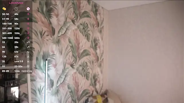 VeniceWillarie webcam