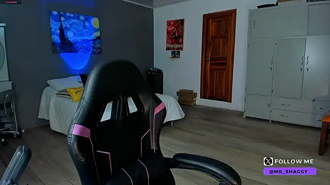 MrShaggy webcam