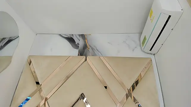 arixht webcam