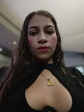 Vanneskk live cam preview