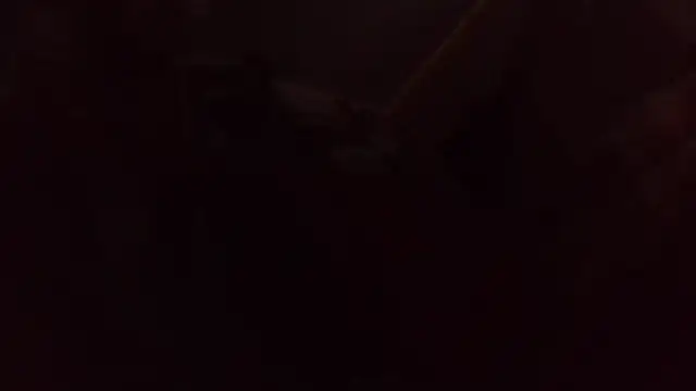 shag369