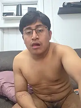lopic webcam