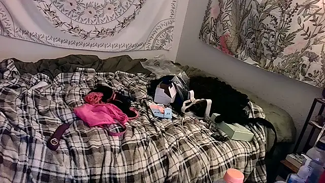 piggy4pain webcam