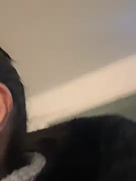 AriannaCruise webcam