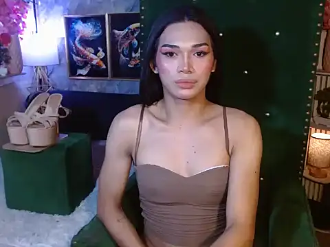 toptrans_akira webcam