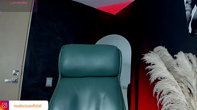 noahcrux_ webcam