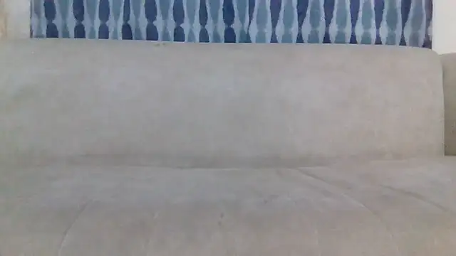 Foxxy-e webcam