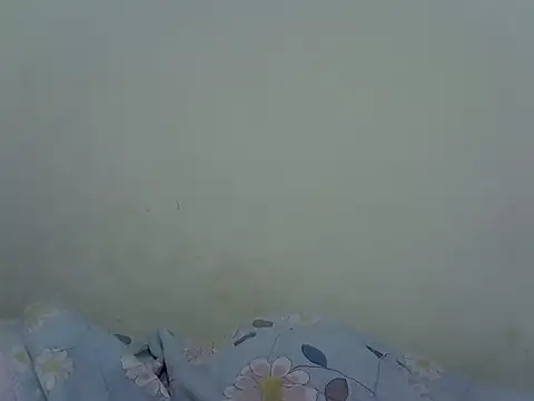 coco_eater webcam