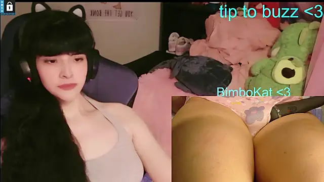 BimboCat webcam