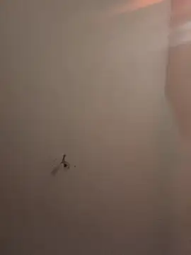 crisfootlicker webcam