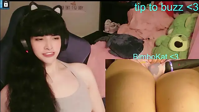 BimboCat