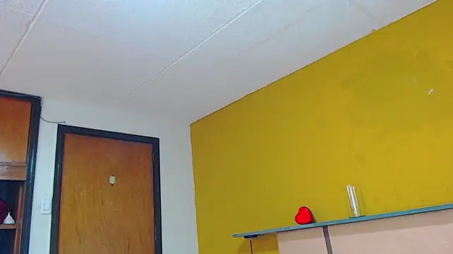 arnold_taylor webcam