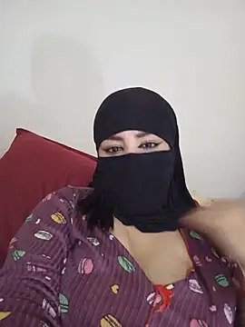 arab_dam webcam