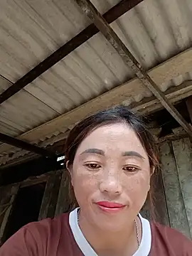 seacyre webcam