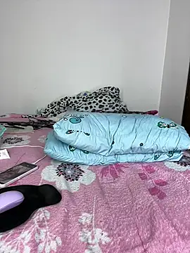 sandylau webcam